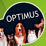 Página web corporativa OPTIMUS